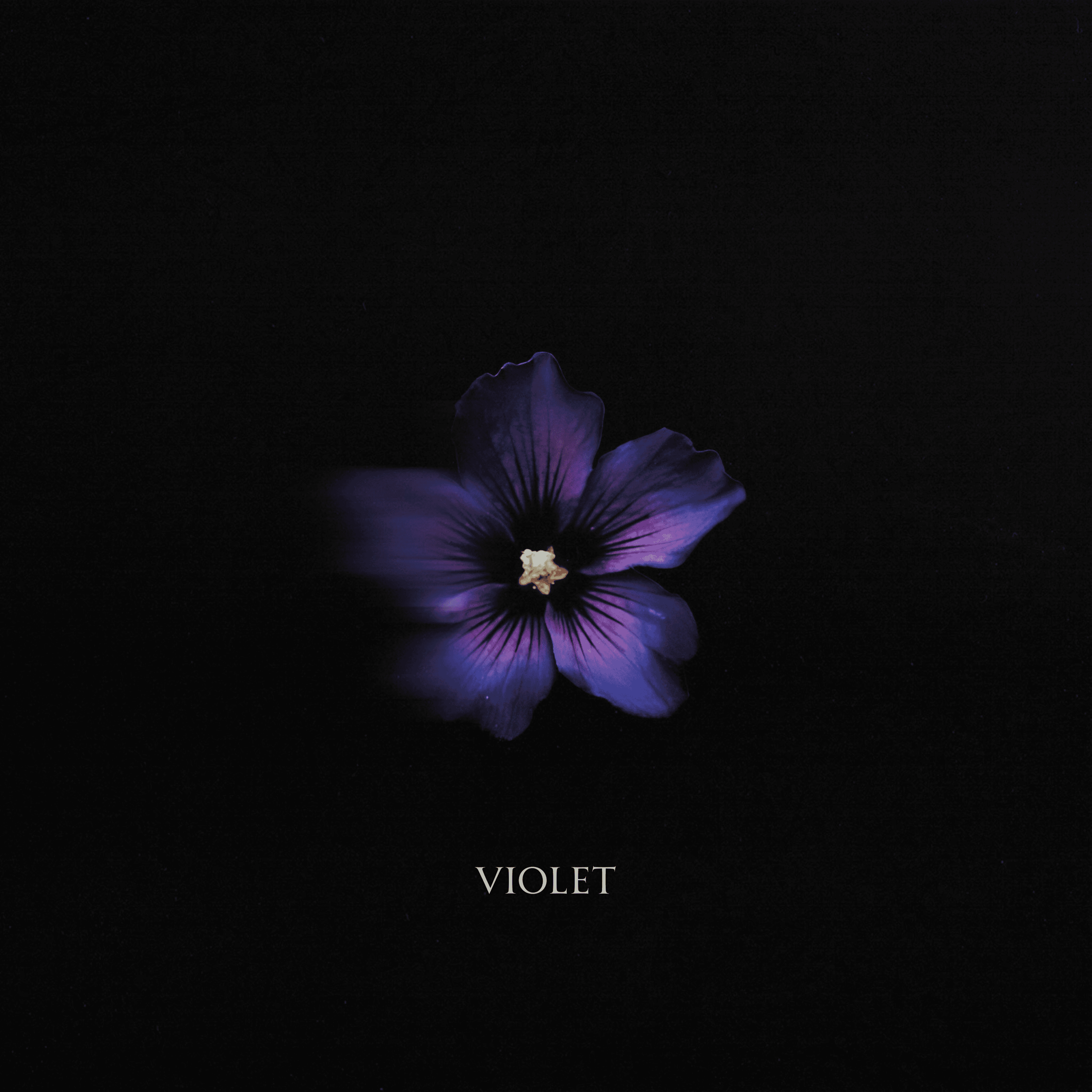 Violet